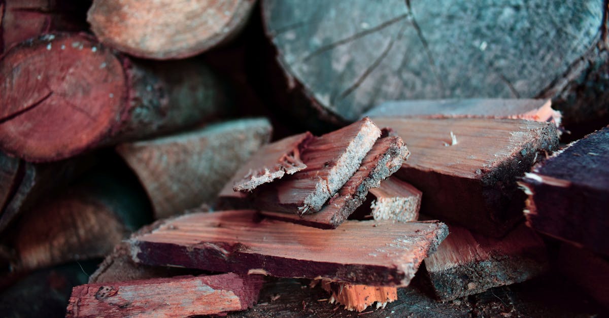 découvrez les avantages du chauffage au bois : économique, écologique et convivial. profitez d'une chaleur naturelle et durable pour votre maison grâce aux différentes solutions de chauffage au bois disponibles sur le marché.